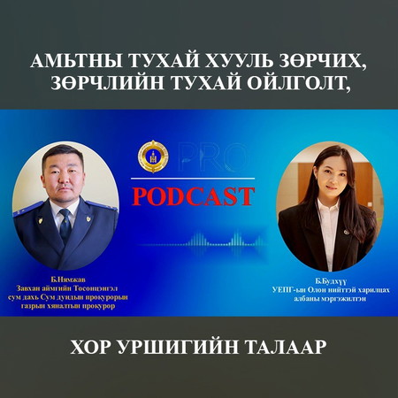 АМЬТНЫ ТУХАЙ ХУУЛЬ ЗӨРЧИХ, ЗӨРЧЛИЙН ТУХАЙ ОЙЛГОЛТ, ХОР УРШИГИЙН ТАЛААР