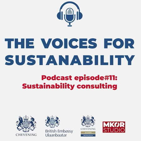 Дугаар 11. Б.Сэлэнгэ - Тогтвортой бизнесийн зөвлөх үйлчилгээ