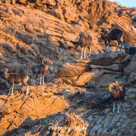 Говьсүмбэр аймаг