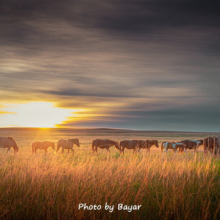 Дорнод аймаг