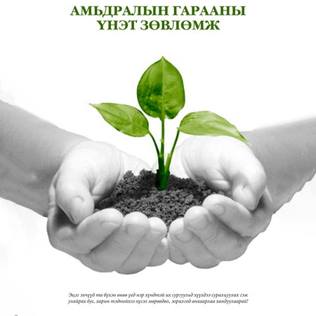 Амьдралын гарааны үнэт зөвлөмж