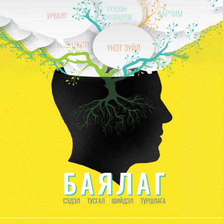Баялаг | Сэдэл тусгал шийдэл туршлага