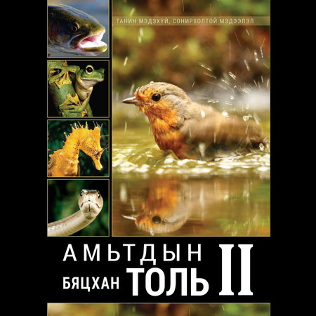 Амьтдын бяцхан толь 2