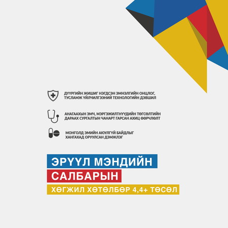 Эрүүл мэндийн салбарын хөгжил хөтөлбөр 4, 4+ төсөл