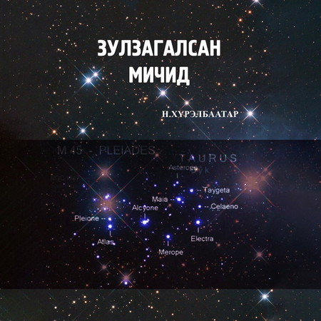 Зулзагалсан мичид