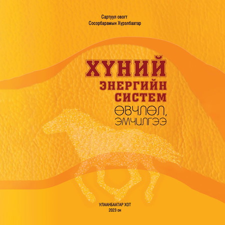 Хүний энергийн систем - өвчлөл, эмчилгээ