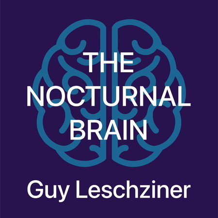 Шөнийн тархи