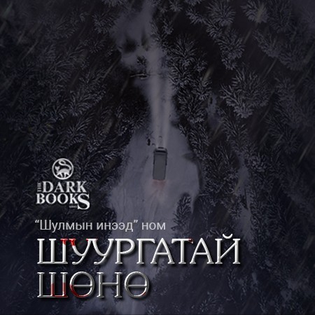 Шуургатай шөнө