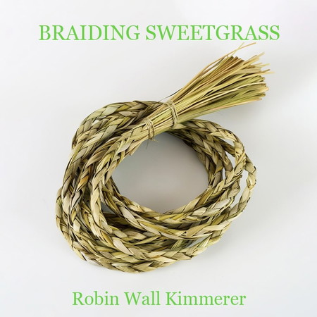 Ширэг өвс сүлжих нь