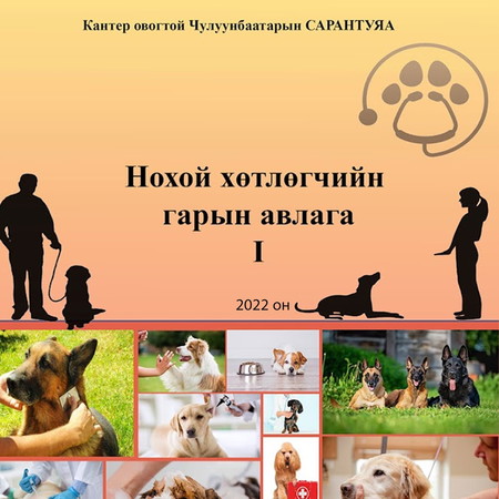Нохой хөтлөгчийн гарын авлага 1