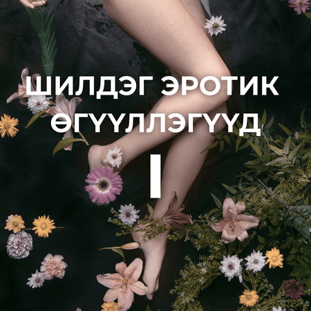 Шилдэг эротик өгүүллэгүүд I