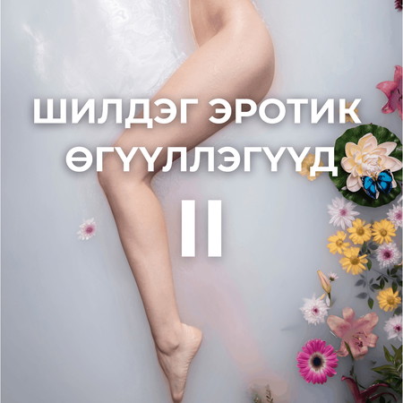 Шилдэг эротик өгүүллэгүүд II