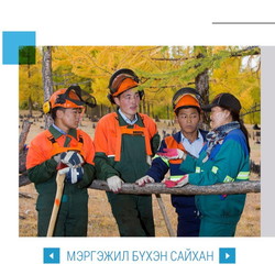 #196 Мэргэжил бүхэн сайхан