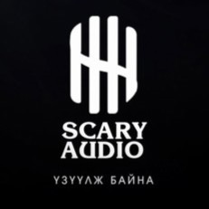 SAudio