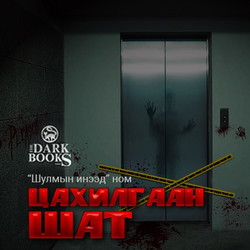 Цахилгаан  шат