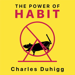 Зуршлын хүч