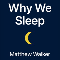 Бид яагаад унтдаг вэ?