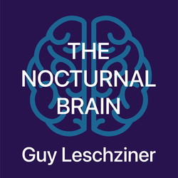 Шөнийн тархи