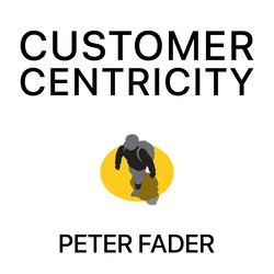 Үйлчлүүлэгч төвт зарчим