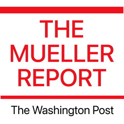 Мюллерийн тайлан