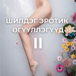 Шилдэг эротик өгүүллэгүүд II